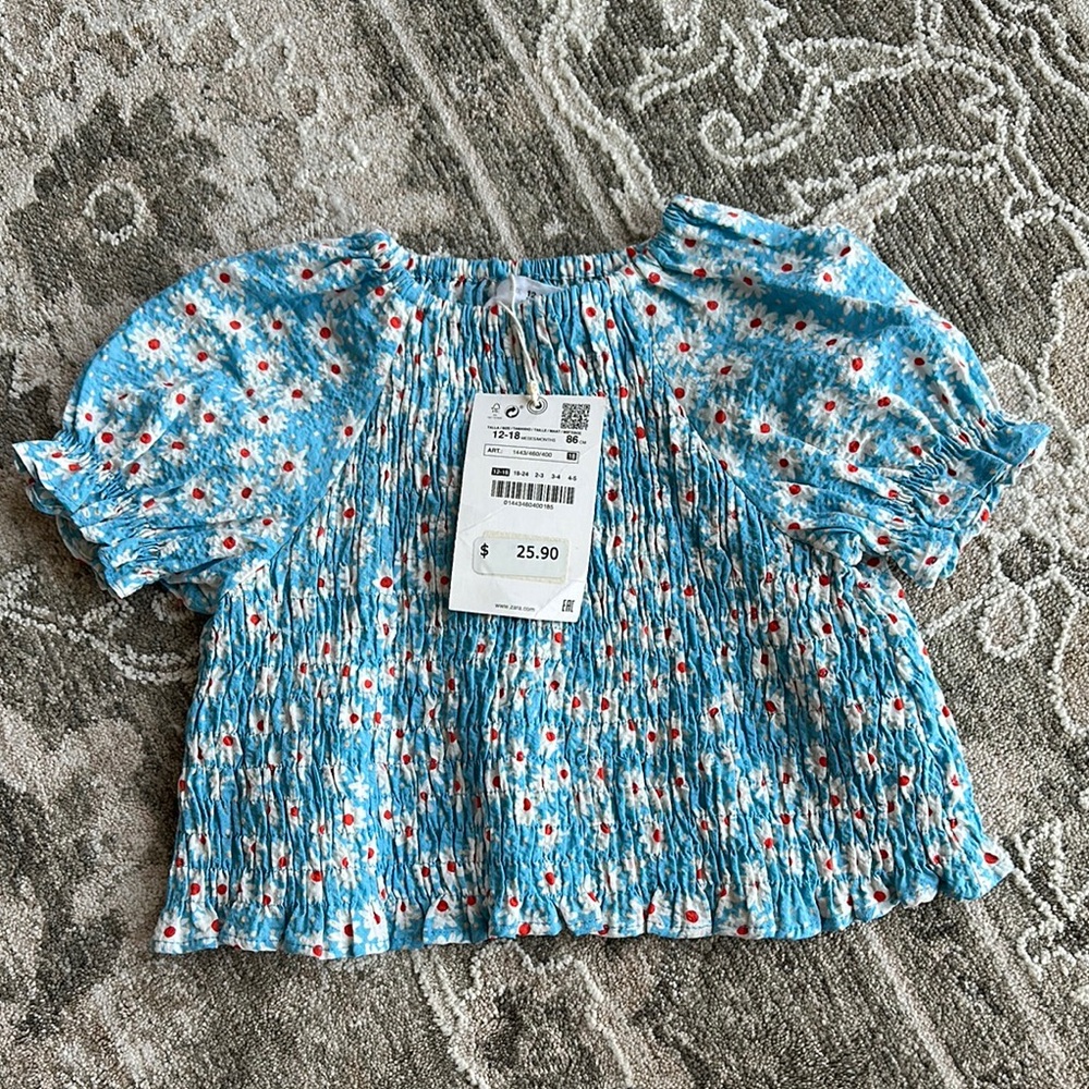 Zara Blue and Red Blouse with Ruffled Sleeves